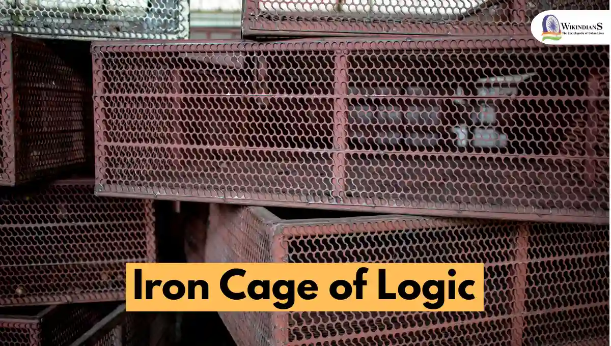 The Iron Cage of Logic: How Quotex Forces You Into Pre-Defined Trading