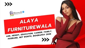 Alaya Furniturewala